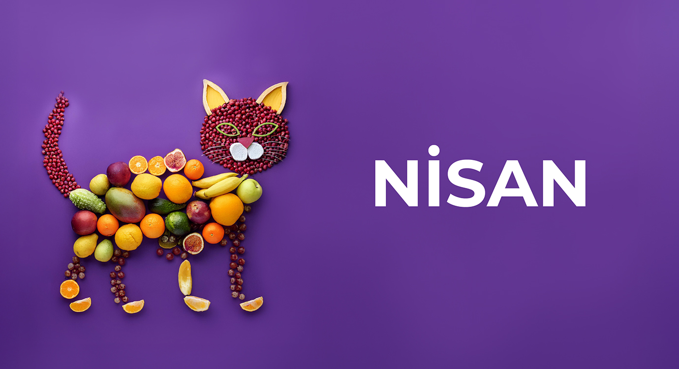 nisan ayı özel günler takvimi