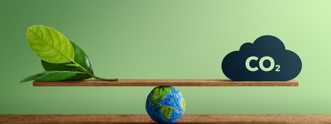 Karbon Ayak İzi Nasıl Azaltılır?